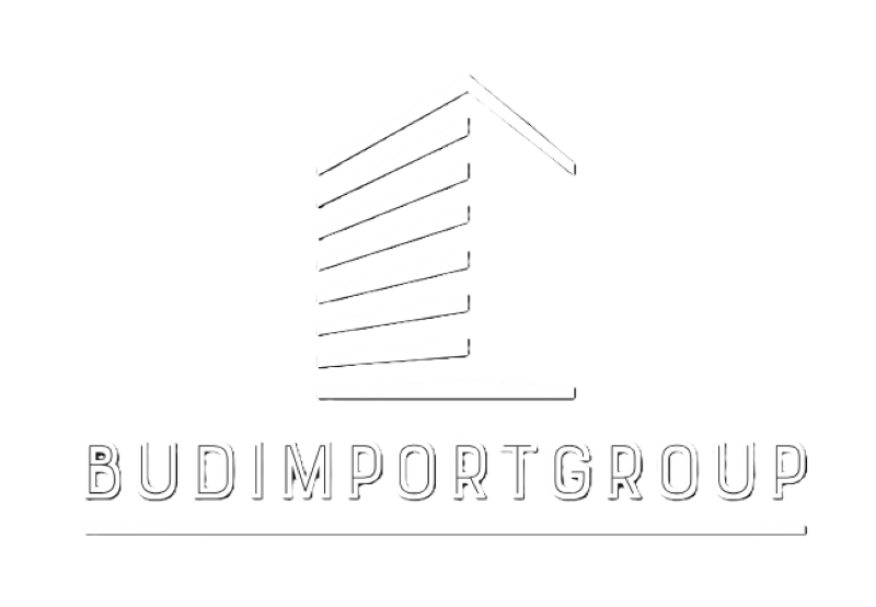BudImportGroup_logo